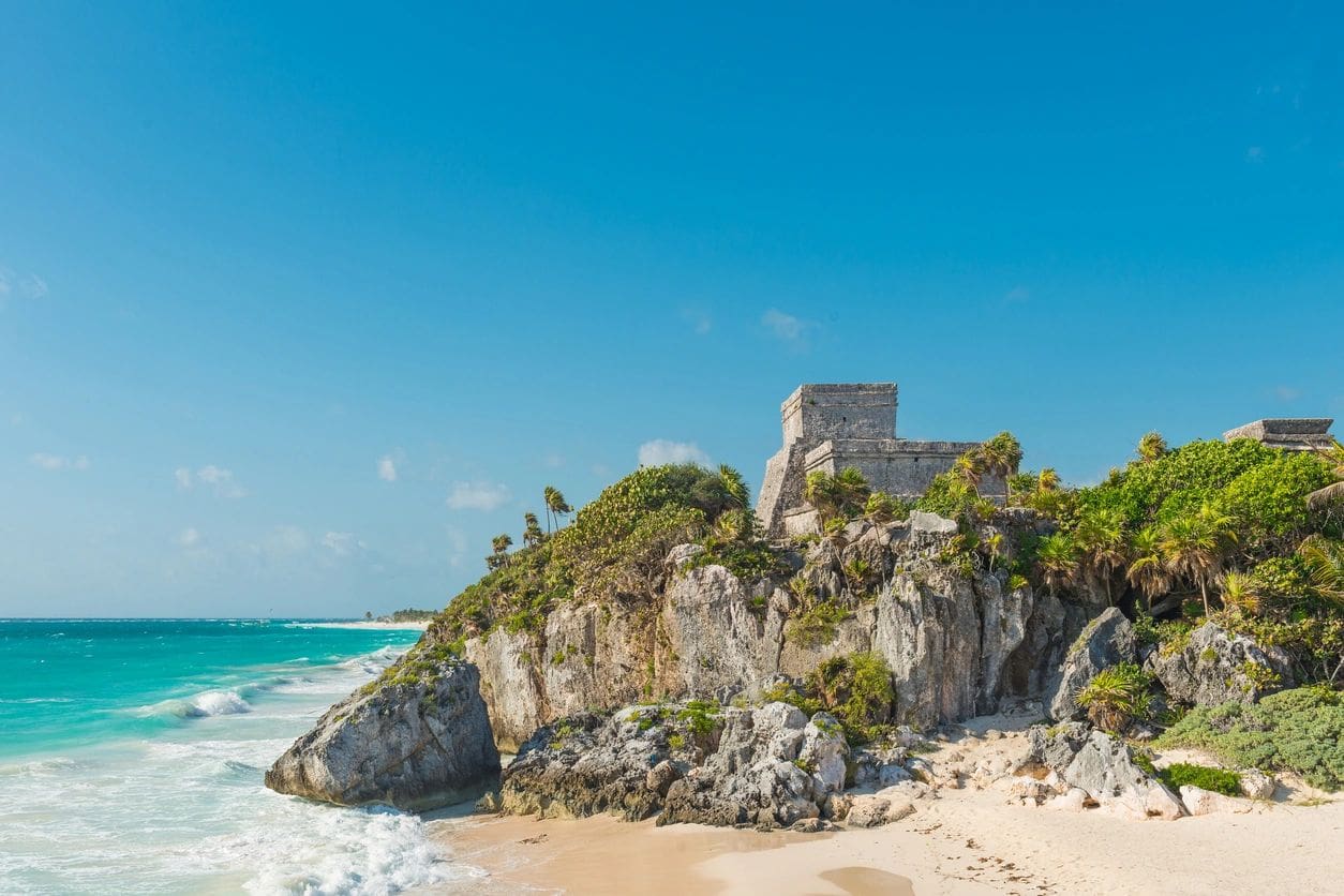 A beach with some trees and rocks on it